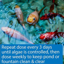 API POND ALGAEFIX 16 OZ