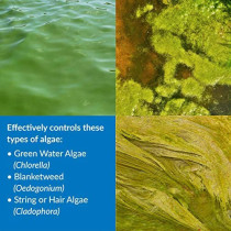 API POND ALGAEFIX 16 OZ