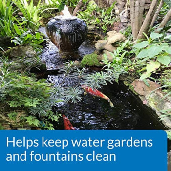 API POND ALGAEFIX 16 OZ