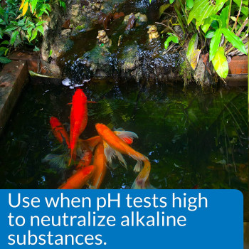 API POND pH DOWN 16 OZ