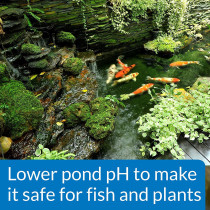 API POND pH DOWN 16 OZ