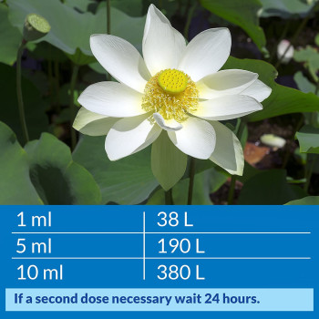 API Pond ACCU Clear 16 OZ