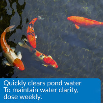 API Pond ACCU Clear 16 OZ