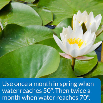 API Pond Aquatic Plant Food Tablet 25 tabs