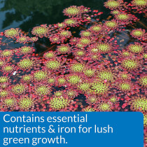 API Pond Aquatic Plant Food Tablet 25 tabs