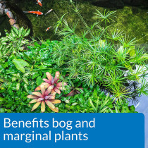 API Pond Aquatic Plant Food Tablet 25 tabs