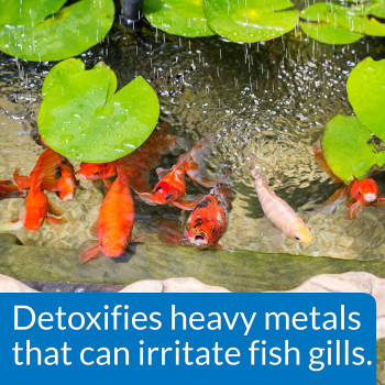 API Pond Chlorine & Heavy Metal Neutralizer 16 OZ