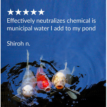 API Pond Chlorine & Heavy Metal Neutralizer 16 OZ