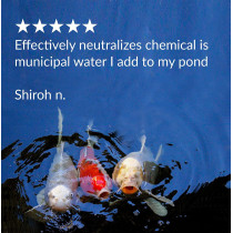 API Pond Chlorine & Heavy Metal Neutralizer 16 OZ