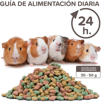Beaphar Care+ Guinea Pig Food 250 g | Premium Food For Guinea Pigs