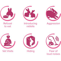 Beaphar RabbitComfort Calming Spray 30ml