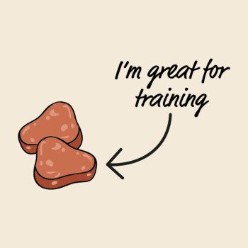 Armitage Deli Bites Chicken 65g