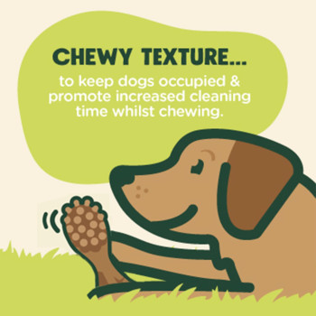 Armitage Goodboy Chompers Dental Toothbrush Large 65g