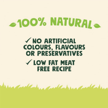 Armitage Goodboy Chompers Dental Dinosaur 60g