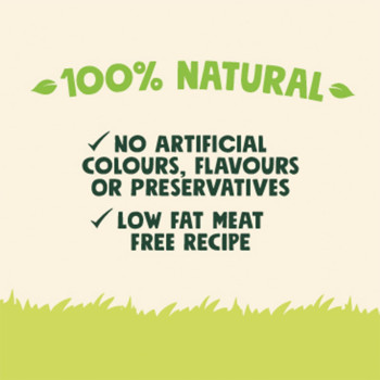 Armitage Goodboy Chompers Dental Toothbrush Medium 2 per pk 70g