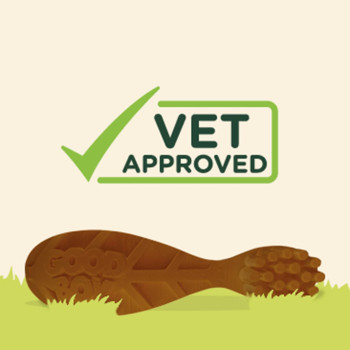 Armitage Goodboy Chompers Dental Toothbrush Small 4 per pk 60g