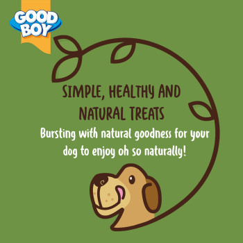 Armitage Goodboy Oh So... Natural Apple with Tasty Chicken 85g