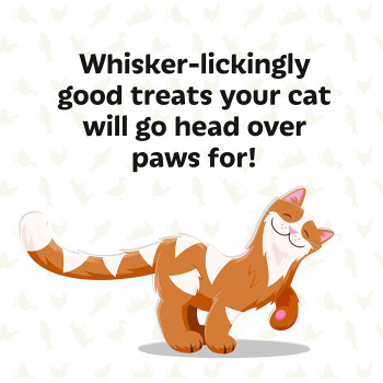 Armitage Meowee Meat Cookies Beef 40G