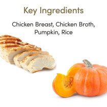 Applaws Wet Cat Food Chicken with Pumpkin 156g Tin Pack of 24