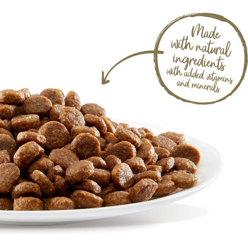 Applaws Cat Chicken & Salmon 2Kg