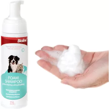 Bioline Foam Shampoo Dry...