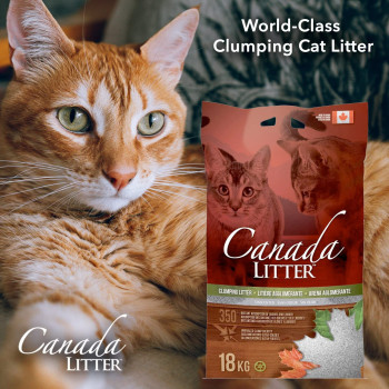 Canada Litter Unscented Grey 18 Kg