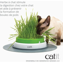 Catit Cat Grass Kit Pack Of 3 For The Catit Senses Grass Planter
