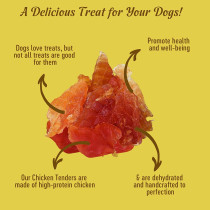 Dog Fest Chicken Tenders For Adult Dogs Dog Treats 90G 3.17Oz