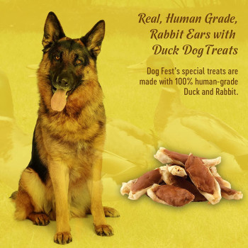 Dog Fest Rabbit Ears With Duck For Adult Dogs Dog Food Treats 90g, 3.17Oz Brown
