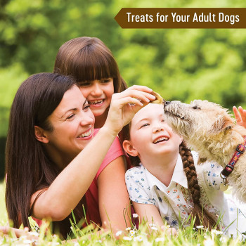 Dog Fest Rabbit Ears With Duck For Adult Dogs Dog Food Treats 90g, 3.17Oz Brown