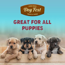 Dog Fest Rabbit Ears With Chicken For Puppies Dog Treats 90G 3.17Oz Brown