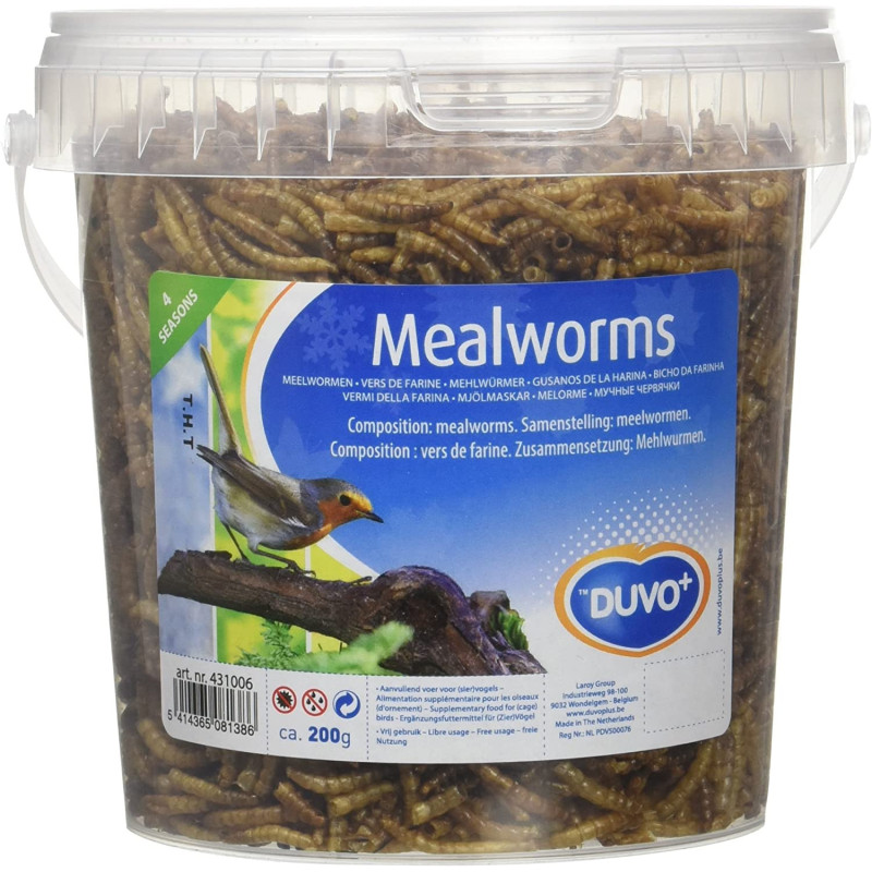 Duvo Meal Worms Bucket Bird Food 200 G Multicolor
