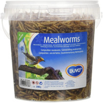 Duvo Meal Worms Bucket Bird Food 200 G Multicolor