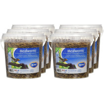 Duvo Meal Worms Bucket Bird Food 200 G Multicolor