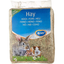 Duvo Fieno Hay Dwarf Rabbits Guinea Pigs And Chinchillas Food 2.5Kg