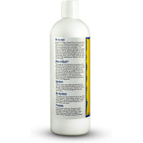 Earthbath Natural Mango Tango 2 In 1 Conditioning Shampoo With Mango Scent 16Oz