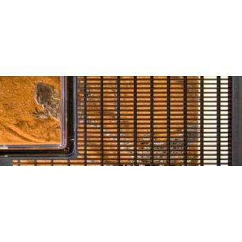 Exo Terra Faunarium Plastic Reptile Terrarium Large PT2265