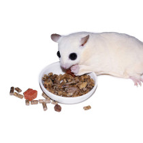Exotic Nutrition Glider Complete 2 Lb