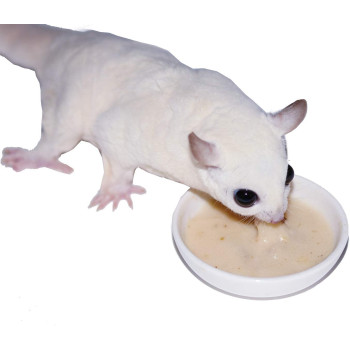 Exotic Nutrition Instant Hpw Honey & Fruit Recipe 1 Lb