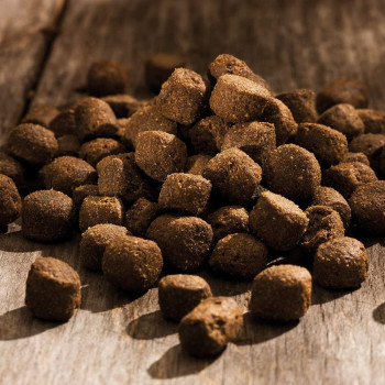 Happy Dog Fit&Vital Maxi Adult Weight 14kg multicolor