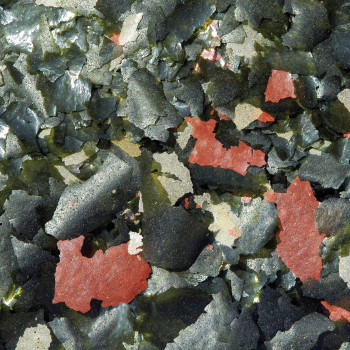 Jbl Novomalawi 1 L Main Food For Algae Eating Cichlids