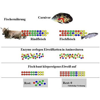 Jbl Weekend Weekend Complete Food For All Aquarium Fish