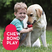KONG Classic Dog Toy Durable Natural Rubber Fun to Chew Chase and Fetch For Medium Dogs