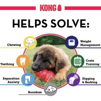 KONG Classic Dog Toy Durable Natural Rubber Fun to Chew Chase and Fetch For Medium Dogs