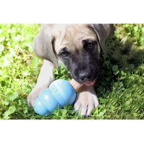 KONG Ziggies Puppy 7 oz Pkg Small