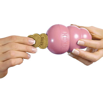 Kong Snacks Puppy Biscuits L