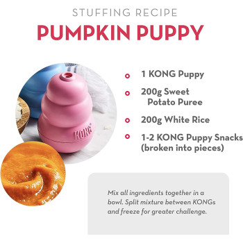 Kong Snacks Puppy Biscuits L