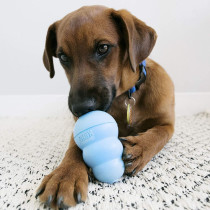 Kong Snacks Puppy Biscuits L