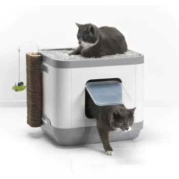 Moderna CAT CONCEPT WITH...