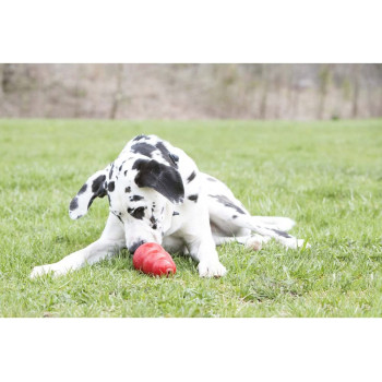 Kong Stuff N Real Sweet Potato Spread Delicious Flavorful Dog Treat Toy Tube 5z